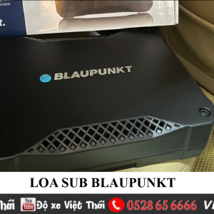 loa-sub-blaupunkt